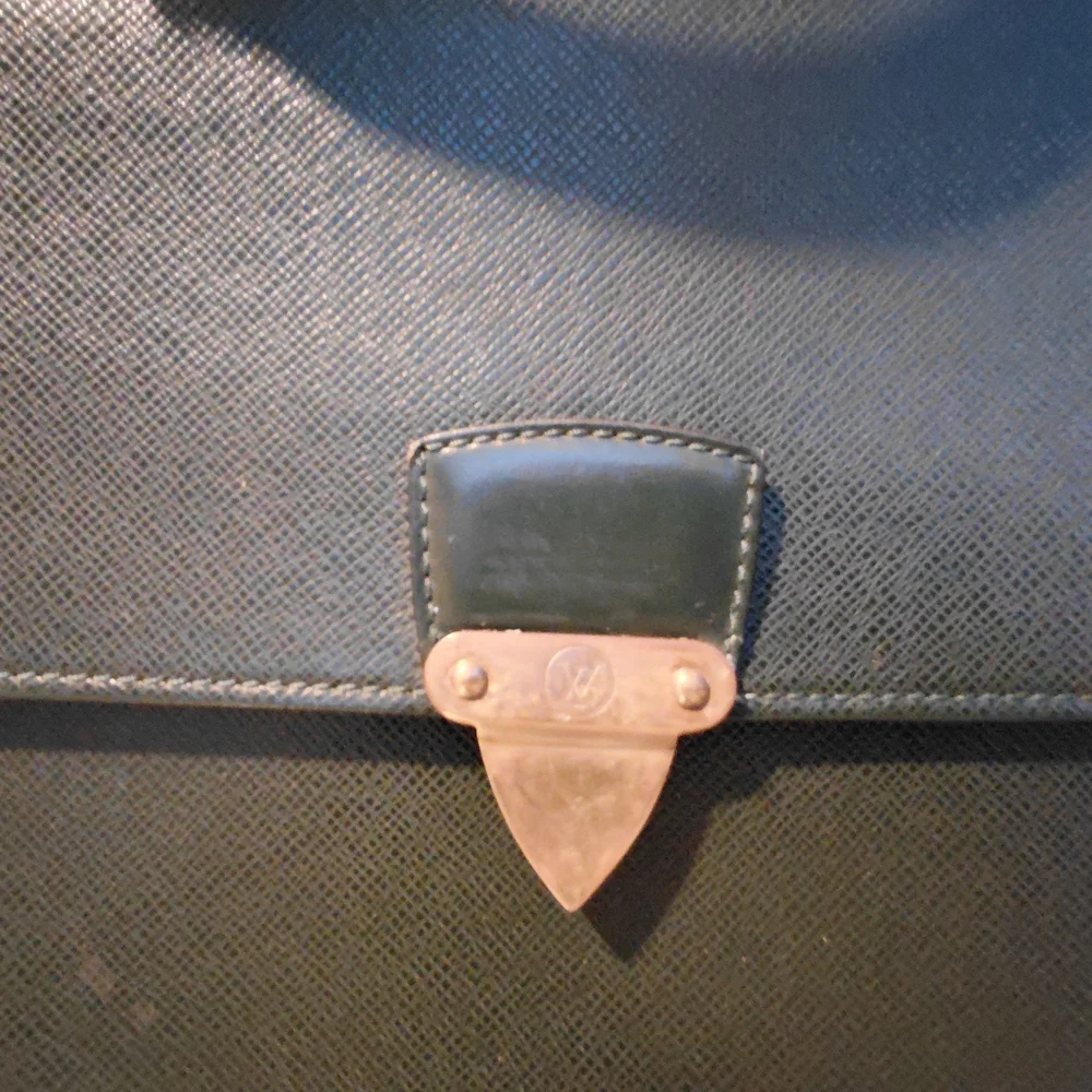 Louis Vuitton Green Leather Taiga Leather Bag Case